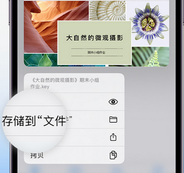 金湾apple维修中心分享iPhone文件应用中存储和找到下载文件