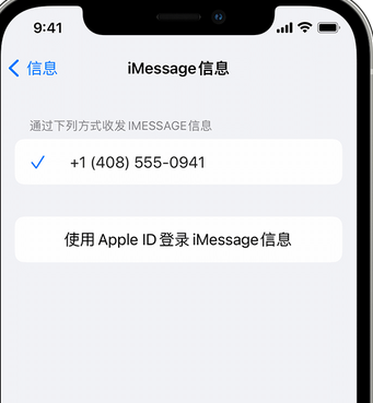 金湾apple维修iPhone上无法正常发送iMessage信息 