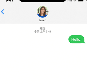 金湾apple维修iPhone上无法正常发送iMessage信息