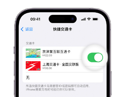 金湾apple维修点分享iPhone上更换Apple Pay快捷交通卡手绘卡面 