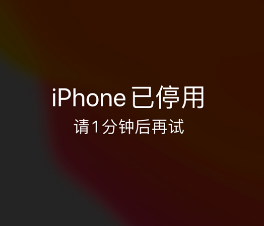 金湾苹果手机维修分享:iPhone 显示“不可用”或“已停用”怎么办？还能保留数据吗？ 