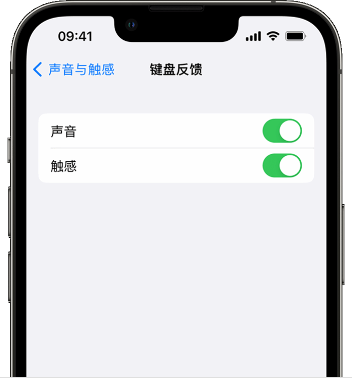 金湾苹果14维修店分享如何在 iPhone 14 机型中使用触感键盘 