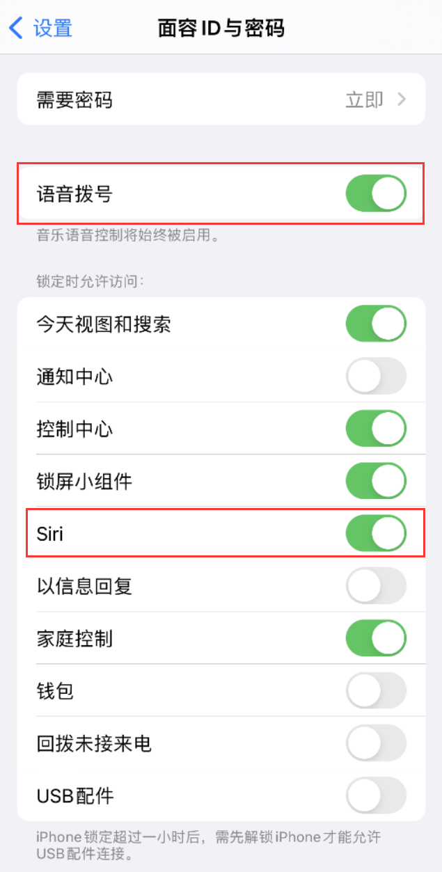 金湾苹果维修网点分享不解锁 iPhone 的情况下通过 Siri 拨打电话的方法 