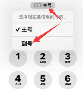 金湾苹果14维修店分享iPhone 14 Pro Max使用副卡打电话的方法 