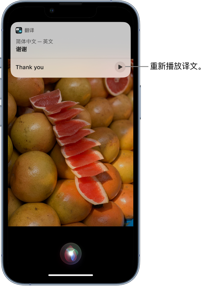 金湾苹果14维修分享 iPhone 14 机型中使用 Siri：了解 Siri 能帮你做什么 