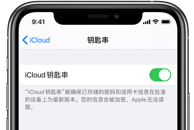 金湾苹果手机维修分享在 iPhone 上开启 iCloud 钥匙串之后会储存哪些信息 