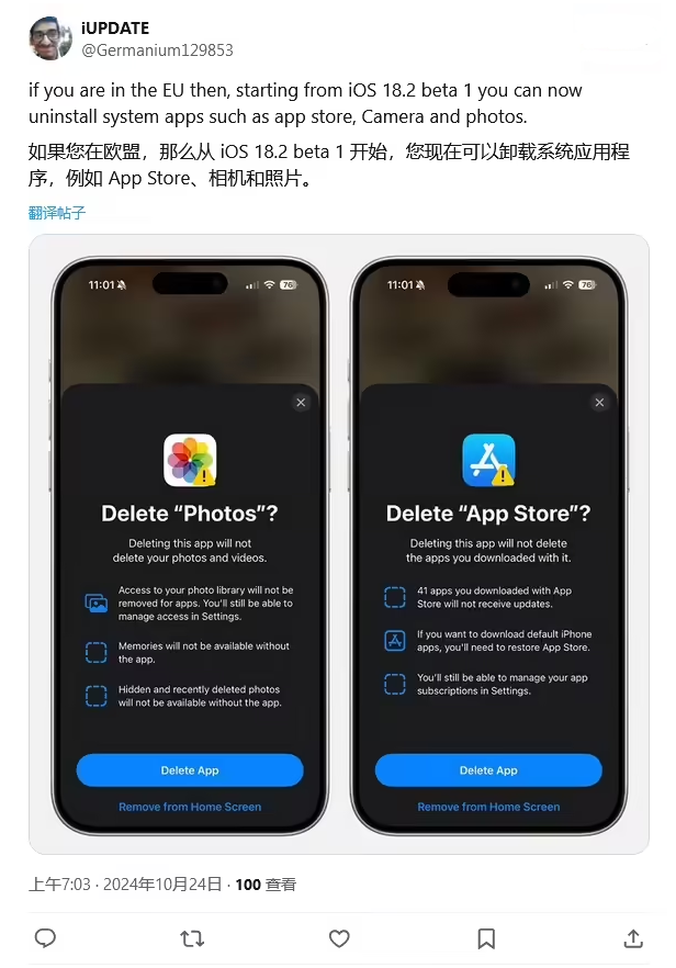 金湾苹果手机维修分享iOS 18.2 支持删除 App Store 应用商店 