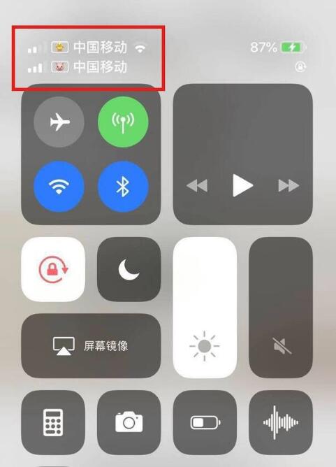 金湾苹果手机维修分享为 iPhone 12 双卡设置标签 